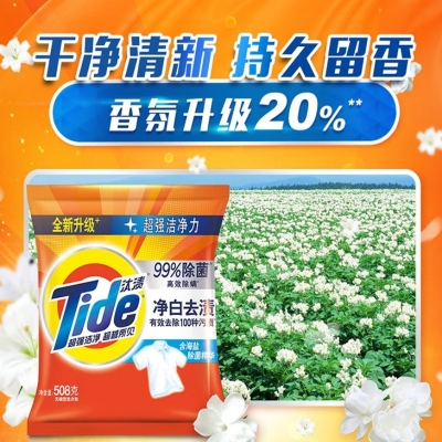 汰漬 凈白去漬洗衣粉508g計(jì)價(jià)單位：袋